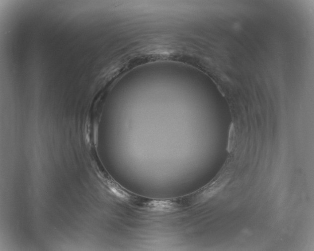 X0000061750528200512021515