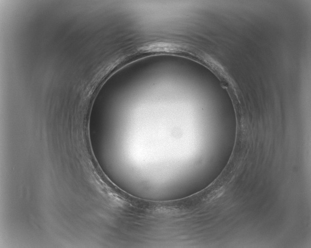 X0000061750529200512021514