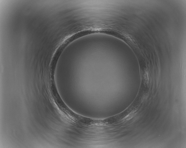 X0000061750540200512021514
