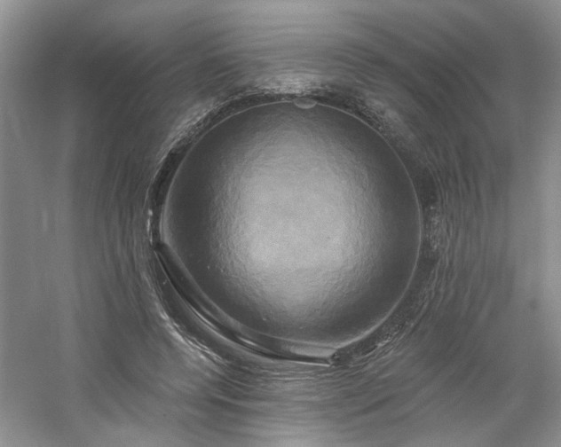 X0000061750544200512021514