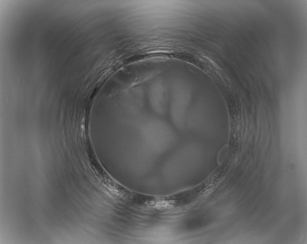 X0000061750553200512021514
