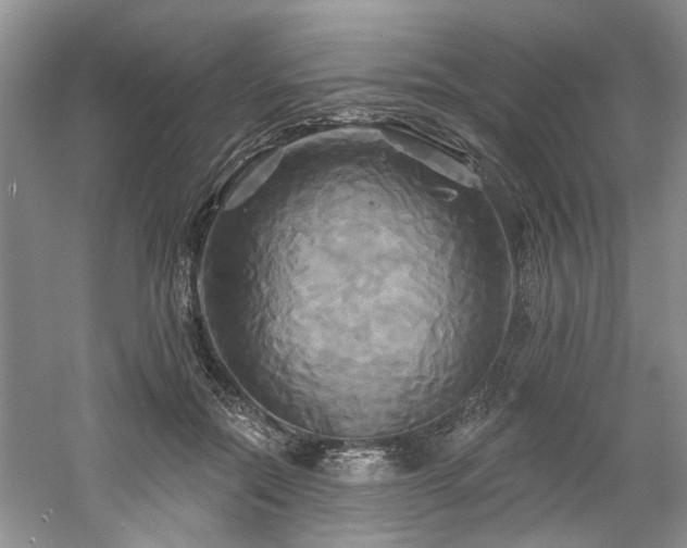 X0000061750554200512021514
