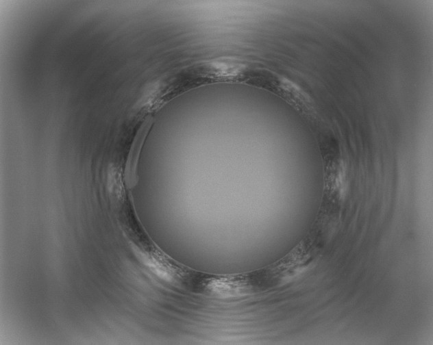 X0000061750568200512021514