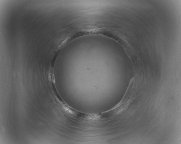 X0000061750576200512021515