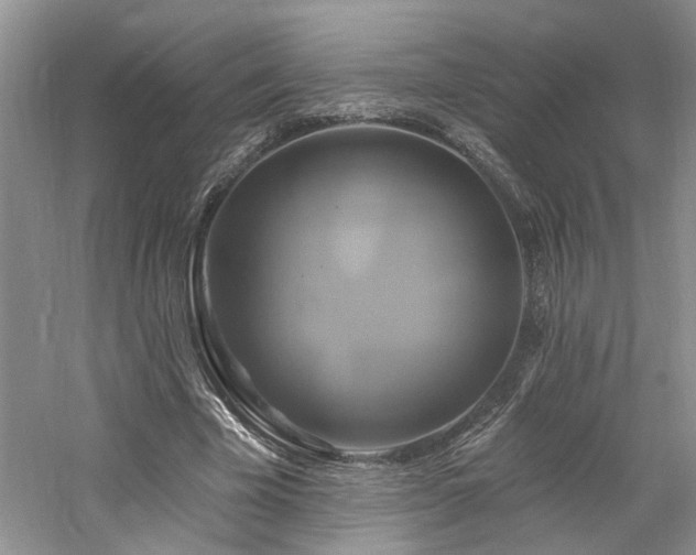 X0000061750585200512021514