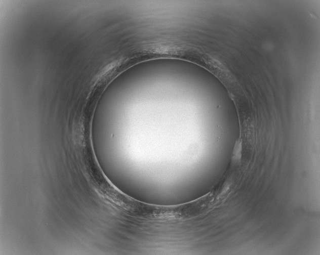 X0000061750587200512021514