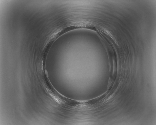 X0000061750589200512021514
