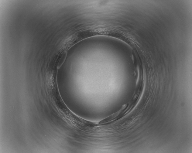X0000061750597200512021513