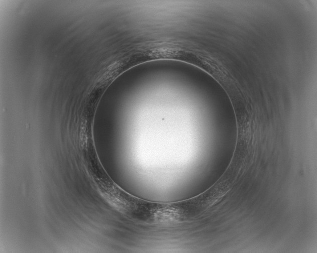 X0000061750599200512021513