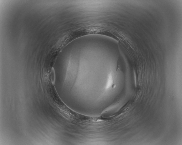 X0000061750601200512021513