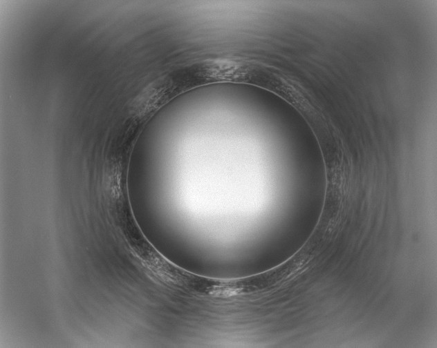 X0000061750602200512021513