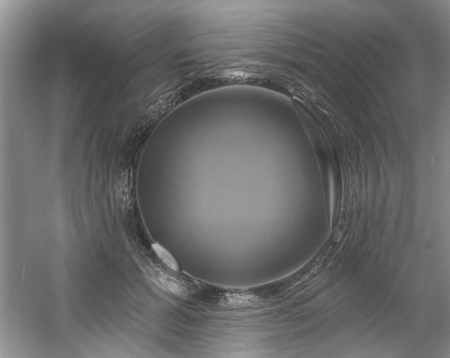 X0000061750605200512021513