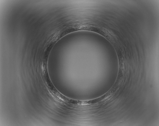 X0000061750607200512021513
