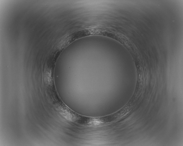 X0000061750610200512021513