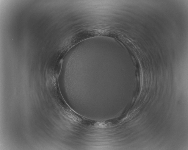 X0000061750613200512021513