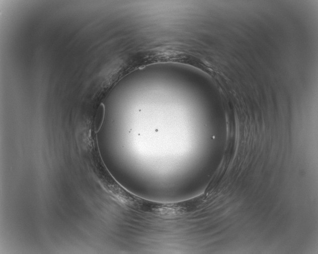 X0000061750615200512021513