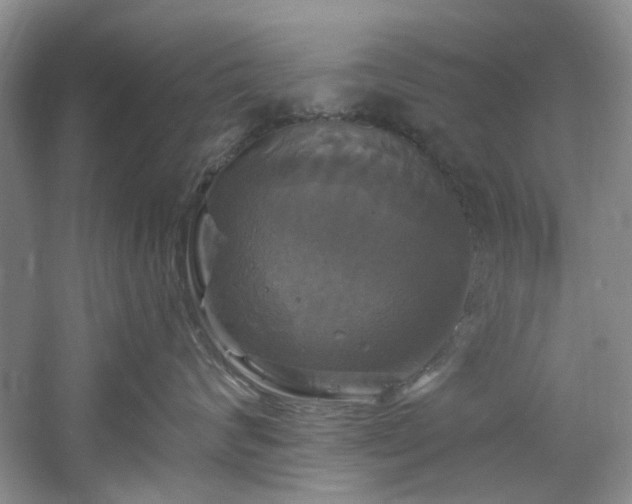 X0000061750624200512021513