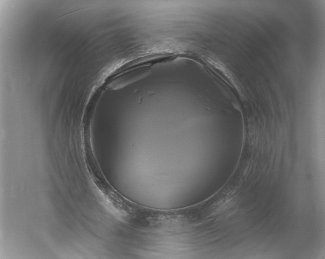 X0000061750626200512021512