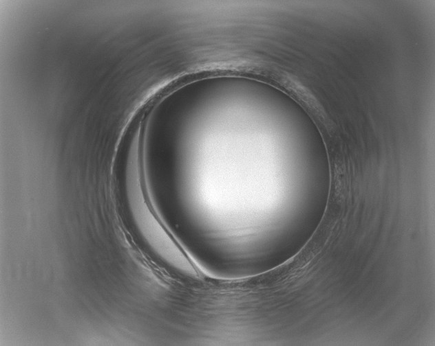 X0000061750628200512021512