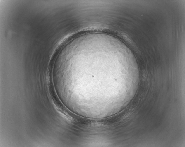 X0000061750632200512021512