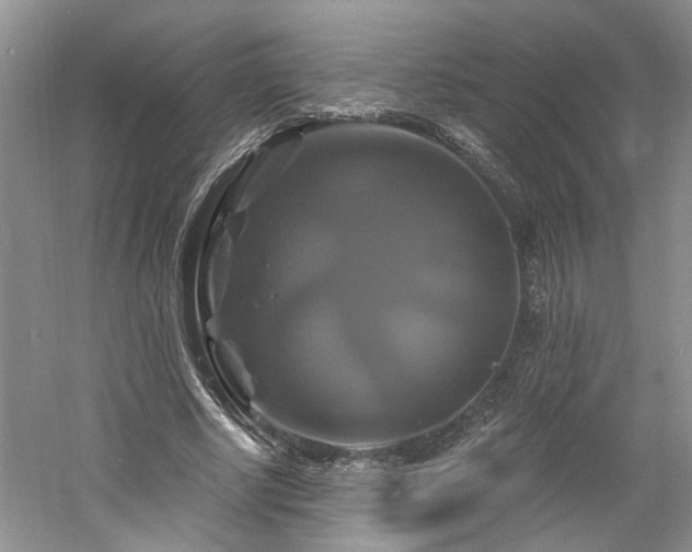 X0000061750634200512021512
