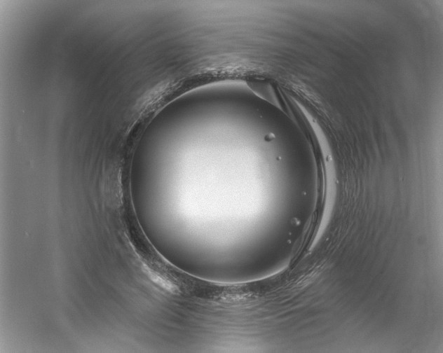 X0000061750638200512021512