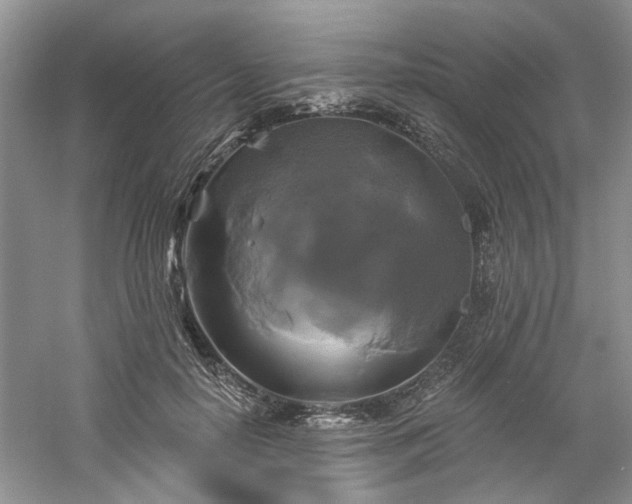 X0000061750650200512021513