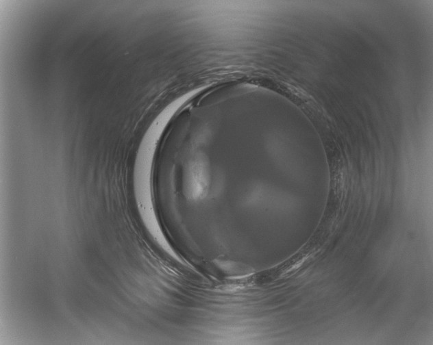 X0000061750661200512021513