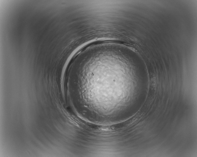 X0000061750662200512021513