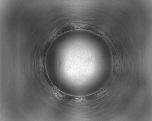 X0000061750667200512021513