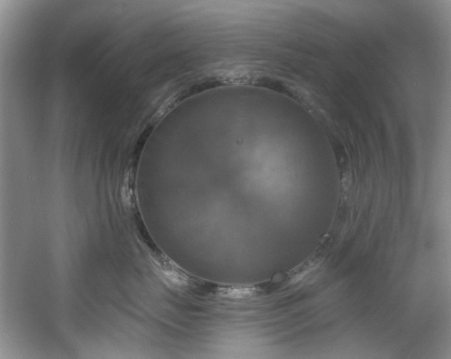 X0000061750671200512021513