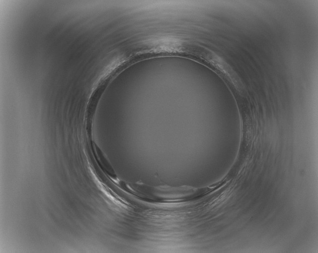 X0000061750677200512021512