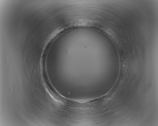 X0000061750678200512021512