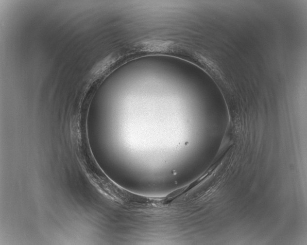 X0000061750682200512021512