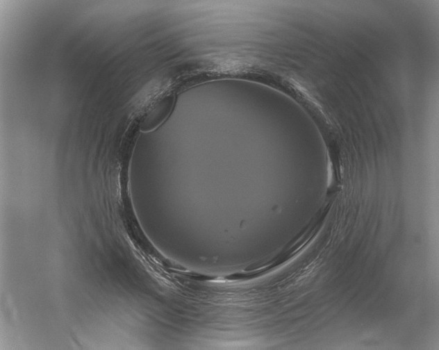 X0000061750685200512021512