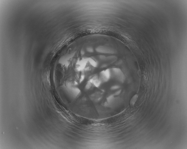 X0000061750691200512021512