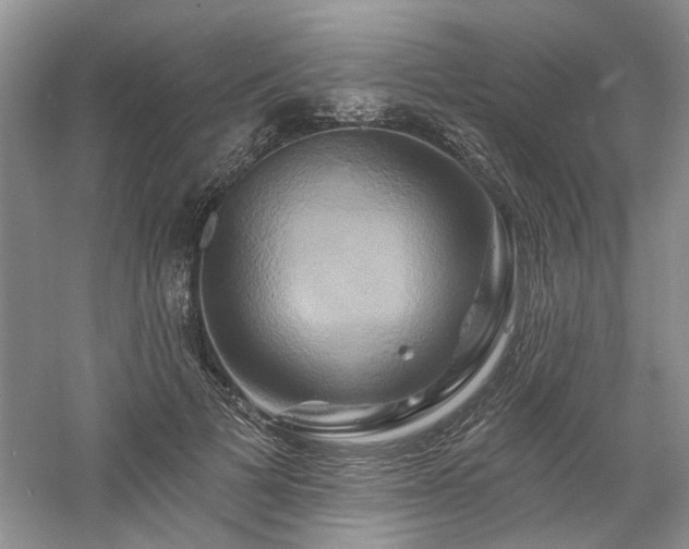 X0000061750697200512021512