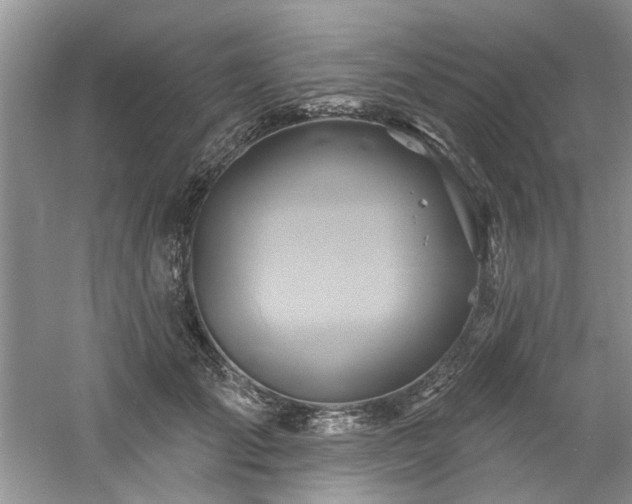 X0000061750701200512021512