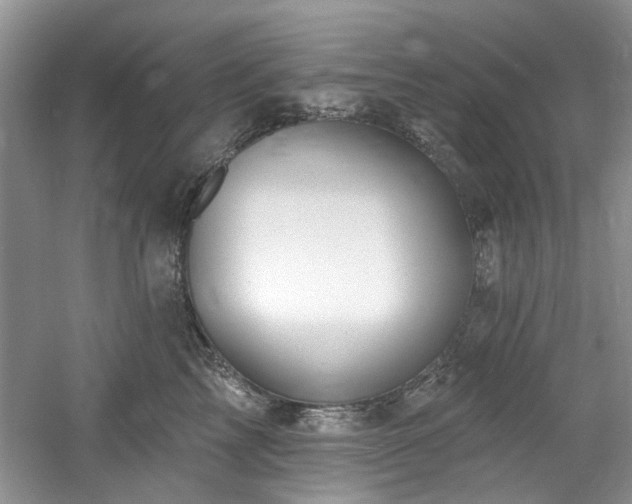 X0000061750713200512021511