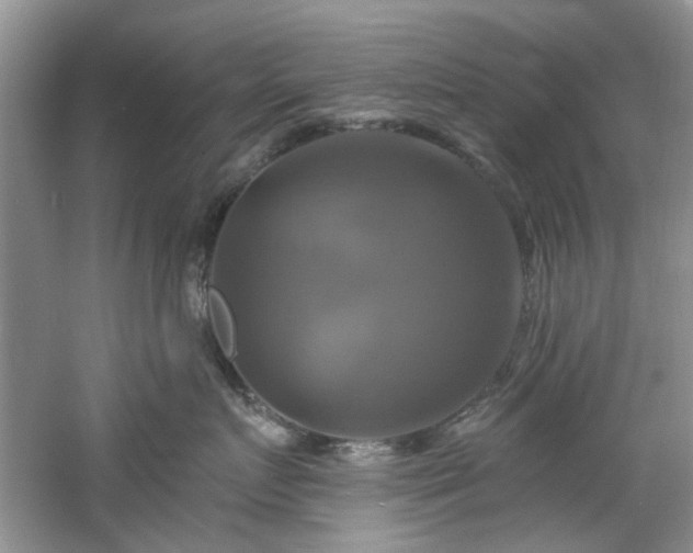 X0000061750719200512021511