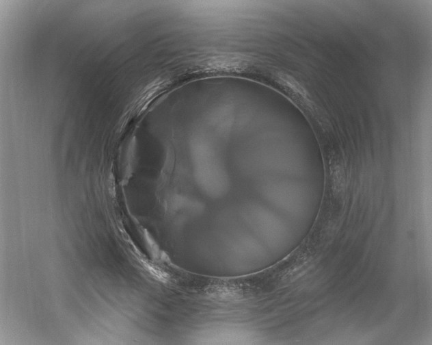X0000061750729200512021511