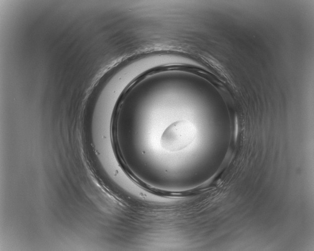X0000061750732200512021511