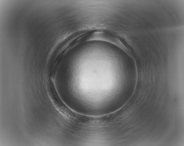 X0000061750736200512021511