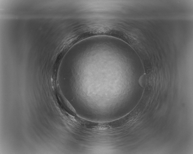 X0000061750743200512021511