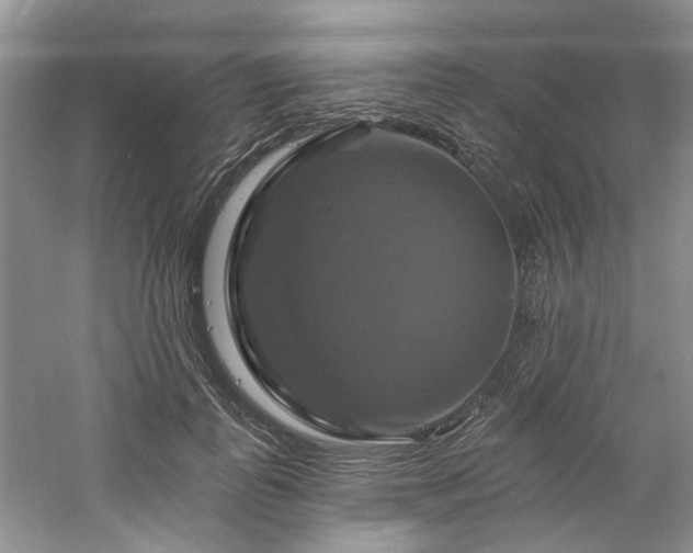 X0000061750747200512021511