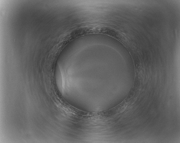 X0000061750769200512021510