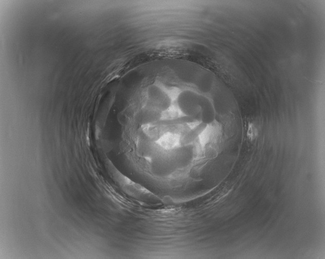 X0000061750771200512021510