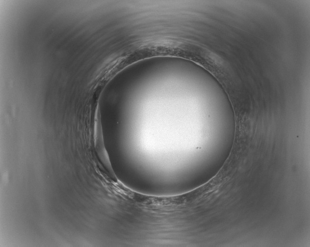 X0000061750774200512021510