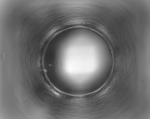 X0000061750778200512021510