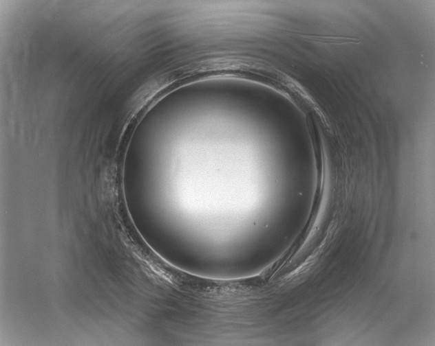 X0000061750786200512021510